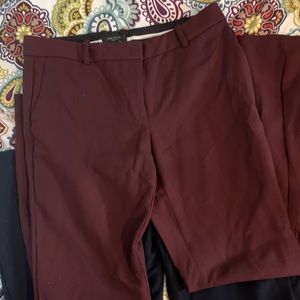 Ann Taylor Madison Flare Trousers